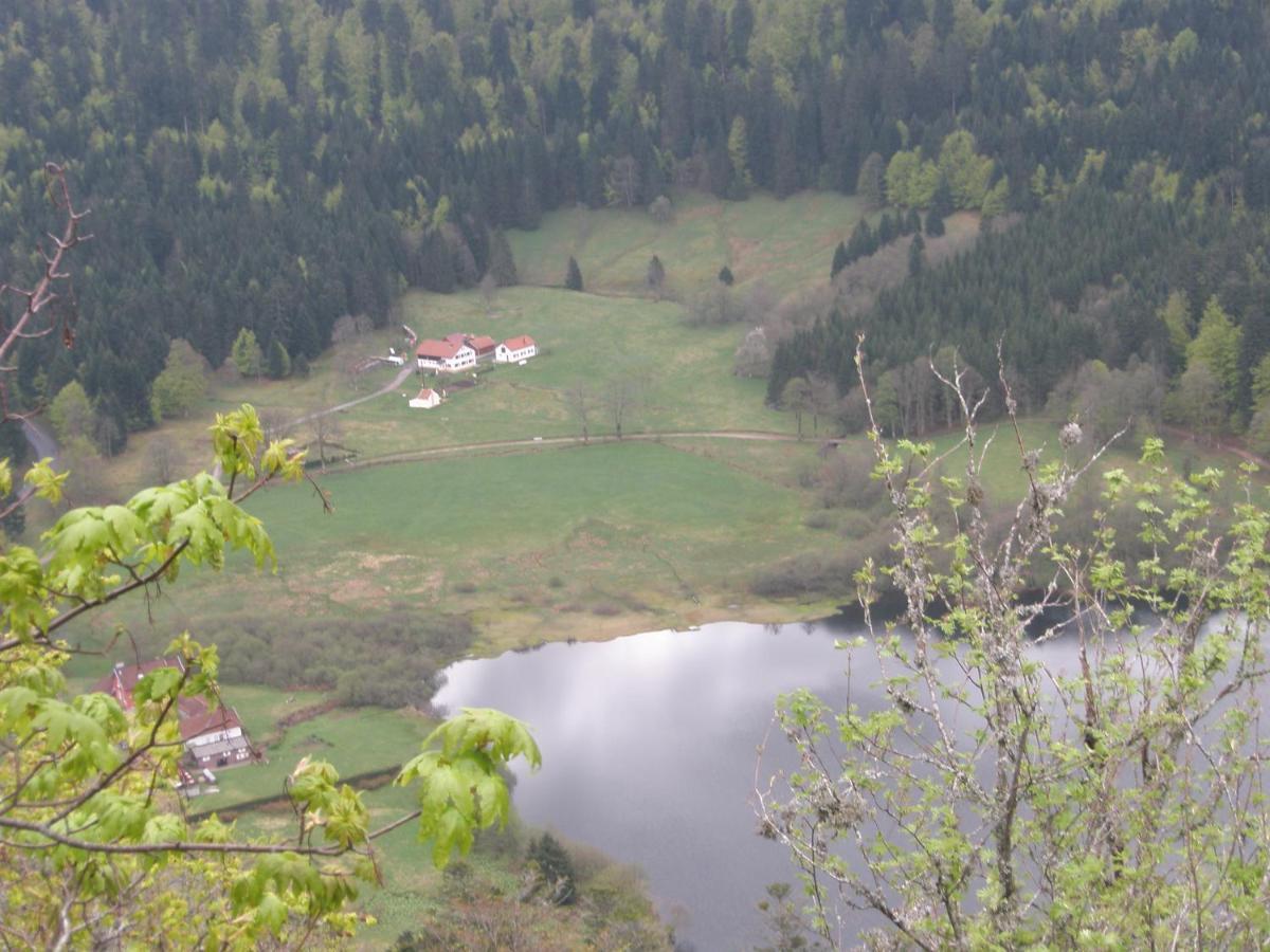 Chalet Mauselaine